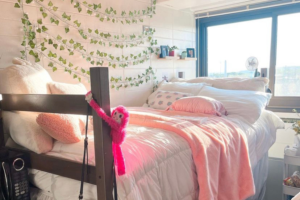 dorm room decor ideas