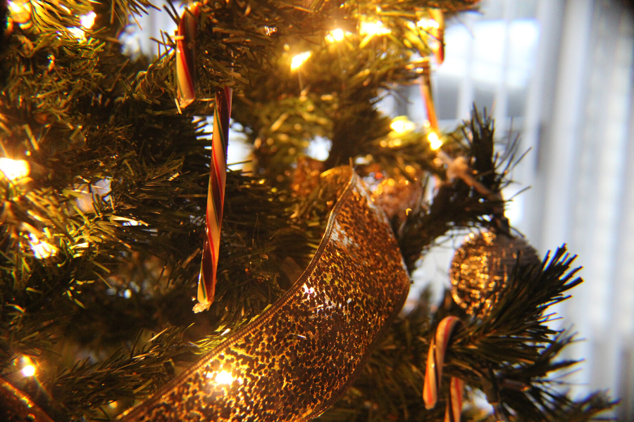 new year's resolutions for students