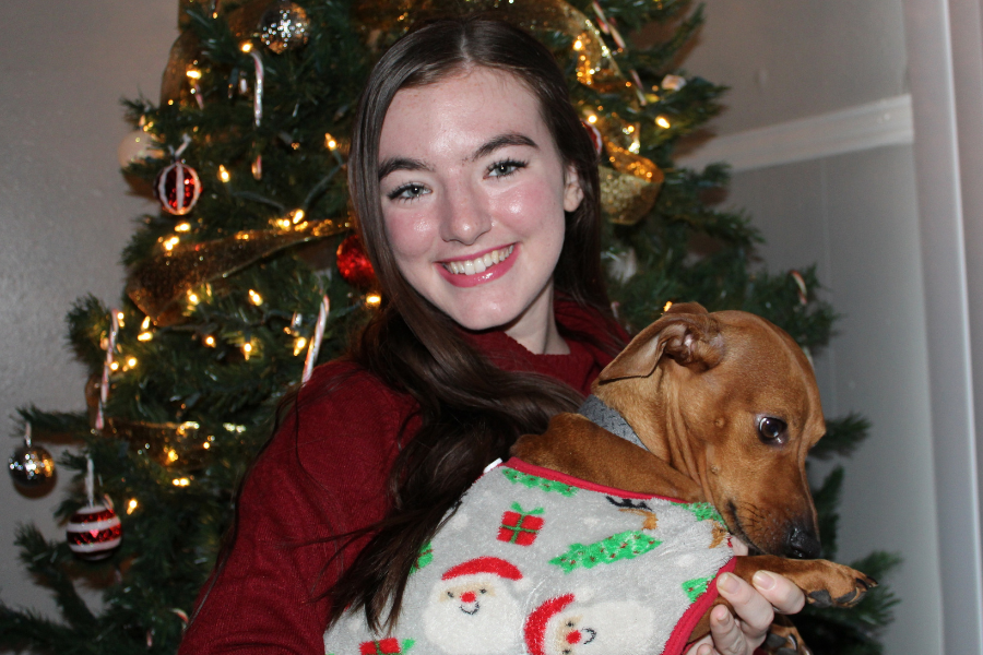 stocking stuffer ideas