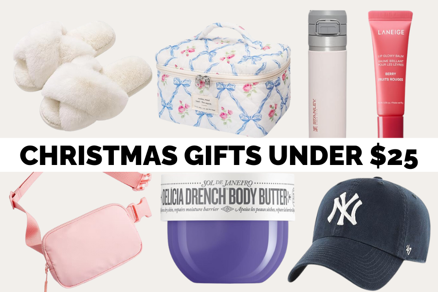 christmas gifts under $25